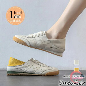 fB[XV[Y t Xj[J[  tbgV[Y puv fB[XXj[J[ 40 Xb| C ₷ r Xb|C ʋΒʊw 