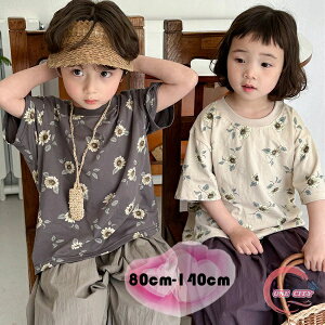 ؍q TVc   gbvX ԕ tVc jp LbY  TVc 킢 ԕ gbvX TVc ̎q j̎q  TVc O[ y[W ʉ ʊw Ē ct 