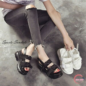 X|[cT_ fB[X T_ Xj[J[T_ T_ ₷ ɂȂ PU _炩NbV h ϖ y r JWA ^C  ăr[T x