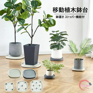 yz1#ia15CMj Aؔ ړԑ  u t[X^h u LX^[ v^[pM g[ v[g 360°]LX^[t ړ |bN 