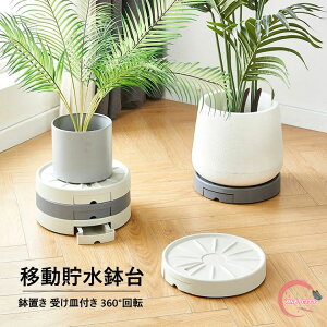 1#ia22.5CMj Aؔ tړԑ  u t[X^h u LX^[ v^[pM g[ v[g 360°]LX^[t  |bN ړ