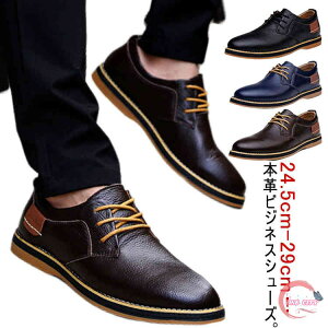 y500~OFFzrWlXV[Y Y JWAV[Y Xj[J[ Y EH[LOV[Y tH[}  ܎O hV̓ JWA C 傫TCY rWlX Ў 