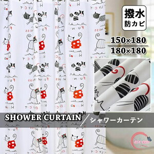 V[J[e hJr k c zCg  oXJ[e CJ[e  J[e Ȃ oX[ oXpi Vv  Ց  ʏ jbgoX  t