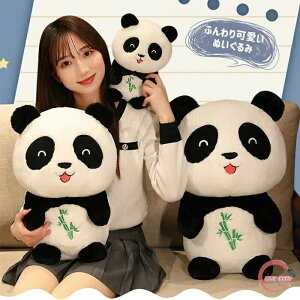 y zʂ p_ FL  YQ G 킢 ӂӂ  aMtg 50cm