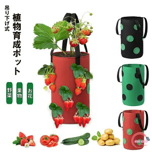 ͔||bg ݉ c ͔| ؉ v^[  A ϗtA  Ă v[g C`S 