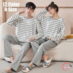 pW} fB[X Y JbvyAbN [EFA ㉺Zbg   tH yApW}  Opc pW}yAbNfB[XY pW} pW