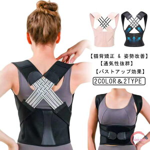    Lw Lwxg j   傫TCY xg q pxg Lw w؋xg Ci[ Y fB[X xg  ڗȂ  p