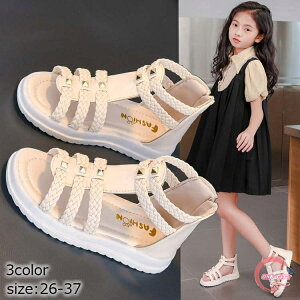 qT_ OfBG[^[T_ qǂC t ̎q   T_ sN  AC{[ LbY C LbYV[Y  tH[}C w Ǝ sAm