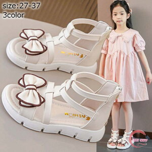 qT_ OfBG[^[T_ qǂC t ̎q   T_ sN  AC{[ LbY C LbYV[Y  tH[}C w Ǝ sAm