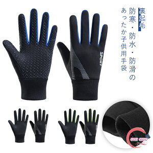 LbY  h LbY t[X N hO[u j̎q ̎q qp X|[cO[u ~  TbJ[  WjA h ۉ ]ԃO[u ʊw oR TCN X|