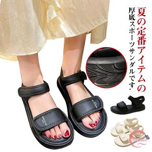 T_ fB[X X|[cT_   y y ʋC RtH[gT_ Xj[J[T_ ₷ r[`T_ L r ItBX X|[c T_ 