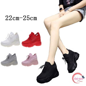  Xj[J[ fB[X  EFbW\[ fB[X X|[c V[Y   8cm Cq[ Ȃ T_  bV C  ₷ ʊw Ȃ ̓ 