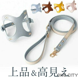 上品カラーで高見え 防水 ハーネス＆リード ハーネスリード ハーネスリードセット 胴輪 ハーネス リード 犬 イヌ ドッグ dog 小型犬 犬用 ペット用 犬具 胴輪 散歩 お出かけ 簡単装着