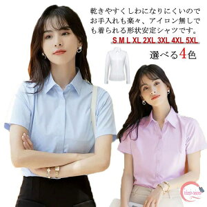 CVc  n Vc uEX rWlX  X[c Ci[  ItBX  zCg S-5XL  Iׂ fB[X `Ԉ J N[g VlbN B{^ 傫