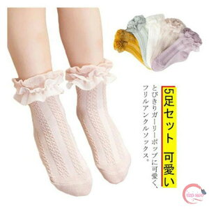 Ǝ zCg 5Zbg \bNX t C V[g\bNX sN ؍ AN\bNX tH[} q LbY  [X\bNX   xr[C  