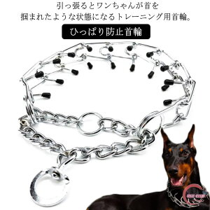  h~   P g[jO  Ck  p Ђςh~ ih~ ybg g[jO `F[ SLbvt ^ ^ ^ pi U S 