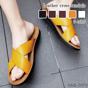 T_ Y U[NXT_ C lC   h r[`T_ V[T_ ItBX RtH[gT_ X|[cT_ H g t T{T_ 傫TCY X