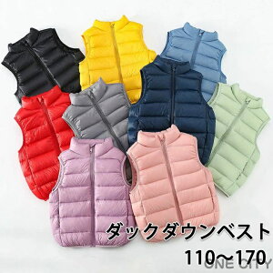 LbY q _ExXg LbY _bN_E j̎q ̎q ȃxXg AE^[ Ci[ xXg _E H ~ t h q ǂ AEghA t@Xi[ LbYxXg AE^[ m