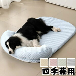 ybgxbh ^ ^ ėp ʋC ^ n Vv  傫TCY lGp L  lRpxbh pxbh Q Lpxbh ybgpxbh Hp p Lp Lp H~p