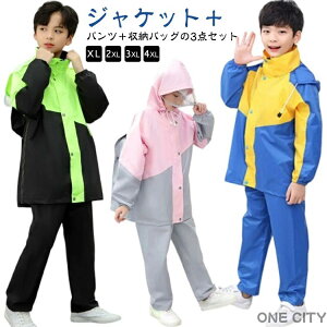  hZΉ  CX[c bNΉ ㉺Zbg LbY CX[c 3_Zbg [obOt LbY R ъԊwZ qp CR[g Zp[g W