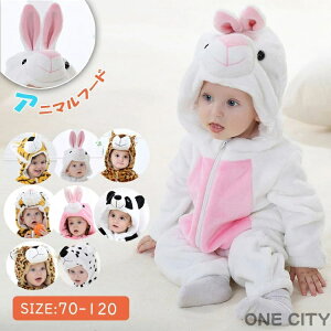 xr[ WvX[c g  Jo[I[ t[ht Ԃ pW} p[X RXv ߑ  H~p h xr[   I[C  V 