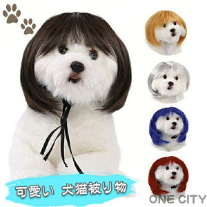 nEB  LpEBbO RXv  ybgEBbOXq RX`[ fB[X q qL ^ ^蕨 ʔ ڂɗ ΂  ϐg Lƌp NX}