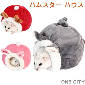 nX^[ nEX ~   e NX}X 킢  pnEX NbVxbh `` nlY~ nX^[  nEX bg nEX xbh  Q 