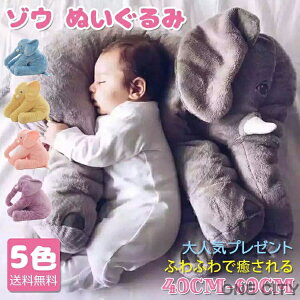  ]E ʂ lC5F I ʂ ]E   CeA q     ӂӂŖ _炩 Sn v[g 2TCY 40cm 60cm n