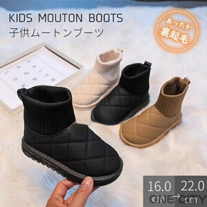 [gu[c H~u[c ̎q j̎q N Xm[u[c LbYu[c V[gu[c   qC ~C g  ₷ ɂ ~ ۉ h 16-22cm