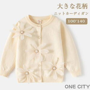 J[fBK ̎q q jbgZ[^[ LbY jbg H~ Z[^[  킢 ԕfUC ʉ ʊw wZ h K  \ a NX}X v[g 蕨 100 110 1