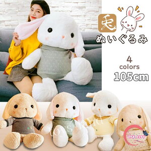 y500~OFFz 2023N x ᡉK ETM ʂ݁@e ʂ q Mtg   CeA q     ӂӂŖ oYj _炩 