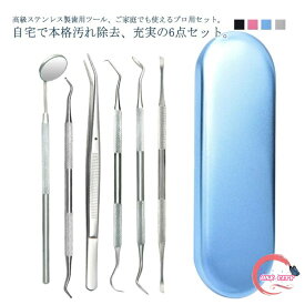歯石取り 歯石とり 器具 自宅用 自分で取る スケーラー 歯垢 ヤニとり ステンレス製 先極細 デンタルツール 歯石除去 プロ仕様 口腔ケア器具 虫歯 口腔清潔 自宅用 送料無料 敬老の日 6点セット 歯科ツールセット 歯石取り