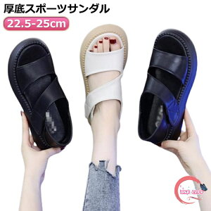  Od T_ fB[X Xj[J[ L T_ r ₷ y lԍHw X|[cT_ b 5cm ʋC  gAbv ʋCK ɂ JWAV