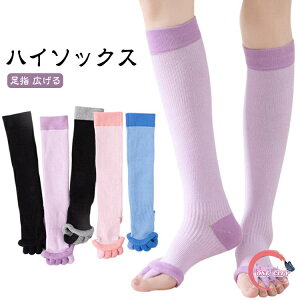 [\bNX C 5{w J  nC\bNX \bNX }bT[W L ӂ͂T|[^[  \bNX Jo[ w nC\bNX ₦   Zs[