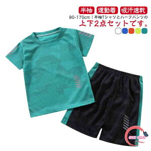  X|[cEFA LbY bV ㉺Zbg  TVc V[gpc ZbgAbv Y{ 2_Zbg ^ j̎q ̎q qǂ WjA z g[jOEFA 