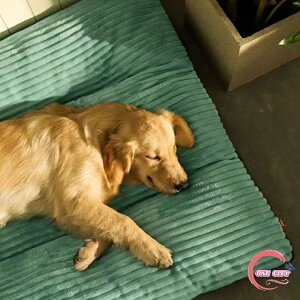 Lxbh ˂ lRxbh 􂦂 ybgxbh ^ pNbV ybg}bg \t@[ xbh  ybgNbV  ӂӂ ~ ې Vv  ~ LQ