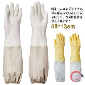 S O N  Lb` Ǝp Ɨp O[u H gC | | r 킢  fB[X Y ̓ 蕨