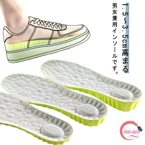 2g C\[ gAbv ~ Ռz  Y fB[X u[c Xj[J[  ʋC r r d oȂ 3TCY