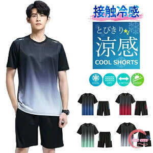  X|[cEFA Y ㉺Zbg  ڐG⊴ z n ʋChL V[gpc jOEFA g[jOEFA JWA    M L XL 2XL 3XL 4XL 5XL