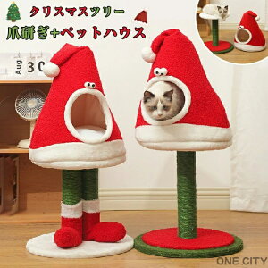 xbhxbh ܌ NX}X  NX}Xc[ ~ L Lbg ^[ L^[ L Lp܌ 