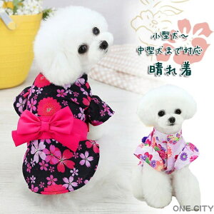   L ꒅ  a ̕ hbNEFA a ybg  ^ ^ N LO  Be 킢 a U t  H ~ ₷ VN