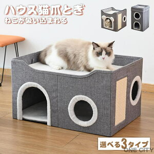 Lbg^[ h[^xbh LnEX LbgnEX  ˂nEX ܂ L nEX gȒP @\ ^ ybgp 킢  ȃXy[X I[V[Y ybg nE