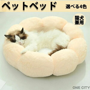 ybgnEX ی^ Ԍ^ Lpxbh ybgxbh xbh  Lxbh n nEX lRxbh N[V ӂ 􂦂 pxbh LnEX NbV ^ ^ ʔN NbV