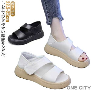 L ėp  r 5cmq[ Od 2way ʋC s T_ ~ EH[LOV[Y ʋ T_ T_ }WbNe[v JWA s fB[X