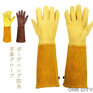 O[u OO[u  K[f O[u K[fjOO[u K[fjOO[u O[u |v yA {I  | {I rv  dp gQh~ I