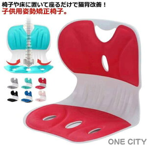 p p qp ׋  CX NbV ֎q Lw p ^ `FA CX qǂ zc ֎q LbY ׋ ֎q p Lw΍ LwP Ջ ֎q ֎q y 