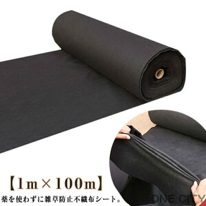 sDz hV[g 1m×100m V[g [ sDzV[g Gh~V[g  h V[g _pV[g UVܓ lH Ő   ԏ 悯 Gh~ G΍ G Ȃ _ 