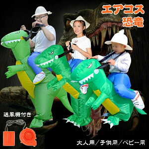   g  nEB  RX`[ RXv RXv  lp qp nEB CŖc RX`[ eBmTEX GARXv 