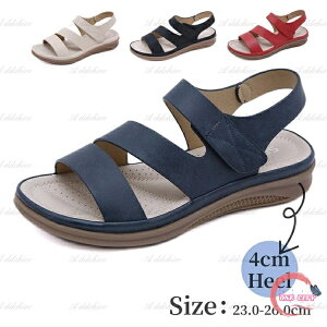 T_ fB[X NXxg L O [q[ r[`T_ t RtH[g T}[T_ n V[Y 4cm q[ C ɂ ₷  r T