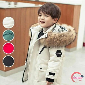 _ER[g LbY q _EWPbg j̎q ̎q AE^[ R[g LbY h h y ʉ ʊw H~ WjA AE^[ ~ AEghA LbYWPbg t[ht g